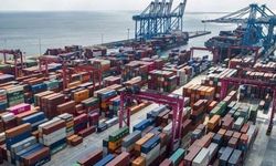 Doğu Karadeniz'den Çin'e ihracatta lider Rize