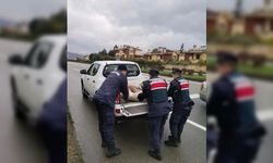 Giresun'da ayakları kırılmış köpeğe jandarma sahip çıktı