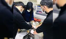 Karabük'te yaralı bulunan şahin tedavi altına alındı