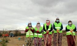 Karadeniz Bölgesi ve Çankırı'da "Milli Ağaçlandırma Günü" etkinliği düzenlendi