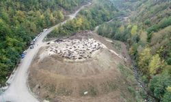 Kastamonu'da "Milli Ağaçlandırma Günü" etkinliği düzenlendi