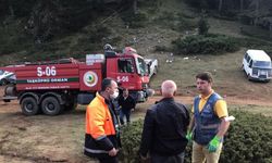 Kastamonu'daki 2 yangında yaklaşık 45 hektar ormanlık alan zarar gördü