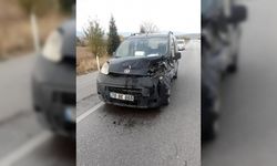 Kazada öldü sanılan inek bacağından çekilince ayaklandı