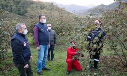 Ordu'da fındık timleri, "örnek" bakımlarıyla verim ve kaliteyi artırıyor