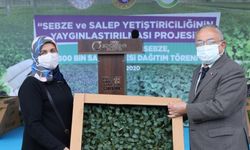 Ordu'da üreticilere 1 milyon kışlık sebze ve 300 bin salep fidesi dağıtıldı