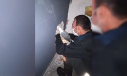 Samsun'da binanın havalandırma boşluğunda mahsur kalan martı kurtarıldı
