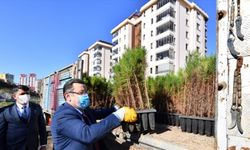 Trabzon'dan Hatay'a 4 bin 61 fidan gönderildi