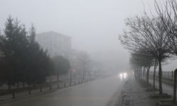 Düzce ve Bolu'da yoğun sis etkili oluyor