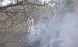Artvin'de örtü yangını kontrol altına alındı