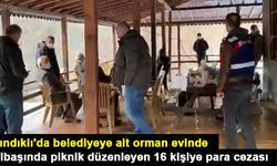 Fındıklı'da belediyeye ait orman evinde yılbaşında piknik düzenleyen 16 kişiye para cezası