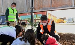 Ordu'da bin fidan toprakla buluşturuldu