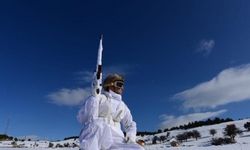 Ordu'daki yayla evleri komandolar tarafından kontrol ediliyor