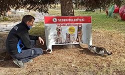 Seben'de sokak hayvanları için sokaklara yem aparatı yerleştirildi