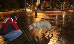 Türk Kızılayından görev başındaki güvenlik güçlerine çorba ve çay ikramı