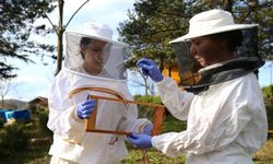 Arıcılık uzmanından iklim değişikliğinde arıları koruma önerileri