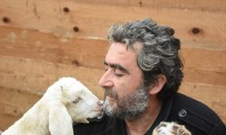 Bartın'ın "mandıra filozofu" evini yeni doğan keçi yavrularına açtı