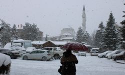 Bolu, Karabük ve Zonguldak'ta kar yağışı hayatı olumsuz etkiliyor