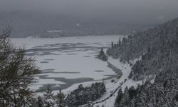 Bolu sıfırın altında 29,7 dereceyle Türkiye'nin gece en soğuk ili oldu