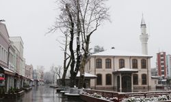 Doğu Marmara ve Batı Karadeniz'de kar etkili oluyor