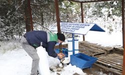 Erbaa Belediyesi yaban hayvanları için doğaya yem bıraktı