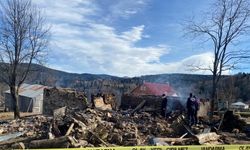 Giresun'da yangında ineğini kurtarmak isteyen kadın hayatını kaybetti