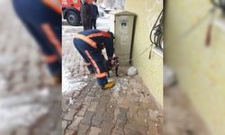 Gümüşhane'deki baraka yangınından sokak köpeği yaralı kurtarıldı