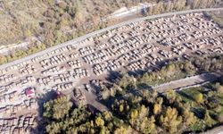Karabük'te orman emvali ihalesinde metreküp bedeli açısından satış rekoru kırıldı