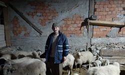 Kastamonu'da eski hükümlü İŞKUR desteğiyle küçükbaş hayvancılığa başladı