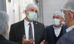 Ordu Arıcılık Araştırma Enstitüsü bünyesinden 2 bin ton bal ihracatı hedefleniyor