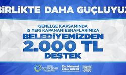 Ordu'da salgın nedeniyle iş yeri kapanan esnafa 2 bin lira destek verilecek