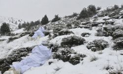 PÖH'ler Doğu Karadeniz'in karla kaplı dağlarında vatan nöbetinde