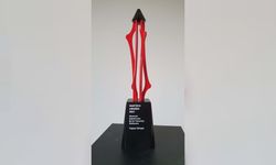 Toyota'nın güvenli sürüş projesine Martech Awards'tan "Büyük Ödül"