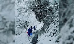 Trabzon'da zorlu kış şartlarına rağmen aşı çalışmaları aralıksız sürüyor
