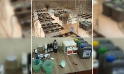 Zonguldak'ta uyuşturucu üretmek için sera kurulan evde yakalanan 4 zanlıdan 1'i tutuklandı