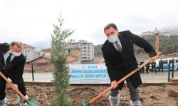 Amasya'da Orman Haftası nedeniyle fidanlar toprakla buluştu