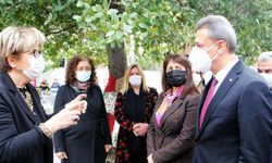 "Çok yüksek riskli" kent Sinop'ta  cenaze, taziye ve ev ziyaretleri uyarısı