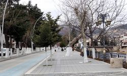 "Çok yüksek riskli" Samsun, Sinop, Amasya ve Tokat'ta sokağa çıkma kısıtlamasına uyuluyor
