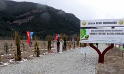 Karabük'te AK Parti eski milletvekili Osman Kahveci adına hatıra ormanı oluşturuldu