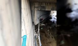 Karabük'te köprüden dereye düşen köpek yavrularını itfaiye ekipleri kurtardı