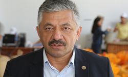Mazot ve gübre desteğinin ödenecek olması fındık üreticilerini sevindirdi