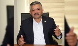 Ordu'da serbest piyasada fındığın kilogramı 23 liradan işlem görüyor