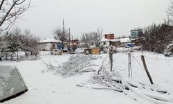 Samsun, Kastamonu, Çorum, Çankırı, Tokat ve Sinop'ta kar yağışı etkili oldu