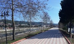 Samsun, Sinop, Amasya ve Tokat'ta sokağa çıkma kısıtlamasına uyuluyor