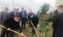 Samsun'dan kısa kısa