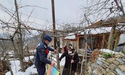Sinop'ta jandarma, Kovid-19 aşısı olmak isteyen 95 yaşındaki kadını sağlık merkezine götürdü