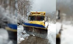 Sinop'ta kar nedeniyle 41 köye ulaşım sağlanamıyor
