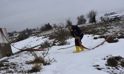 Sinop'ta koyunları susuz kalan besiciye belediye ekipleri tankerle su ulaştırdı