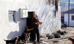 Sokak köpeklerine sıcak yuva sunmak için köyden ayrılmadı