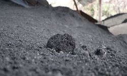 Taş kömürü satışından şubat ayında 25 milyon 571 bin lira elde edildi