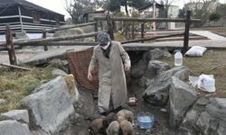 Yaşadıkları yerde sokak hayvanlarını besleyen hayvansever çift örnek oluyor